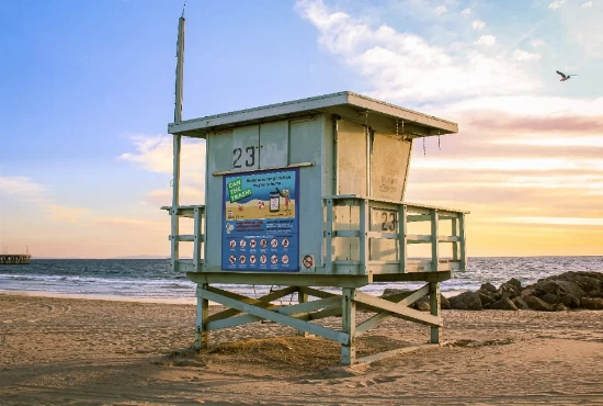 From Hollywood to the Beach: Unforgettable Attractions and Activities in Los Angeles